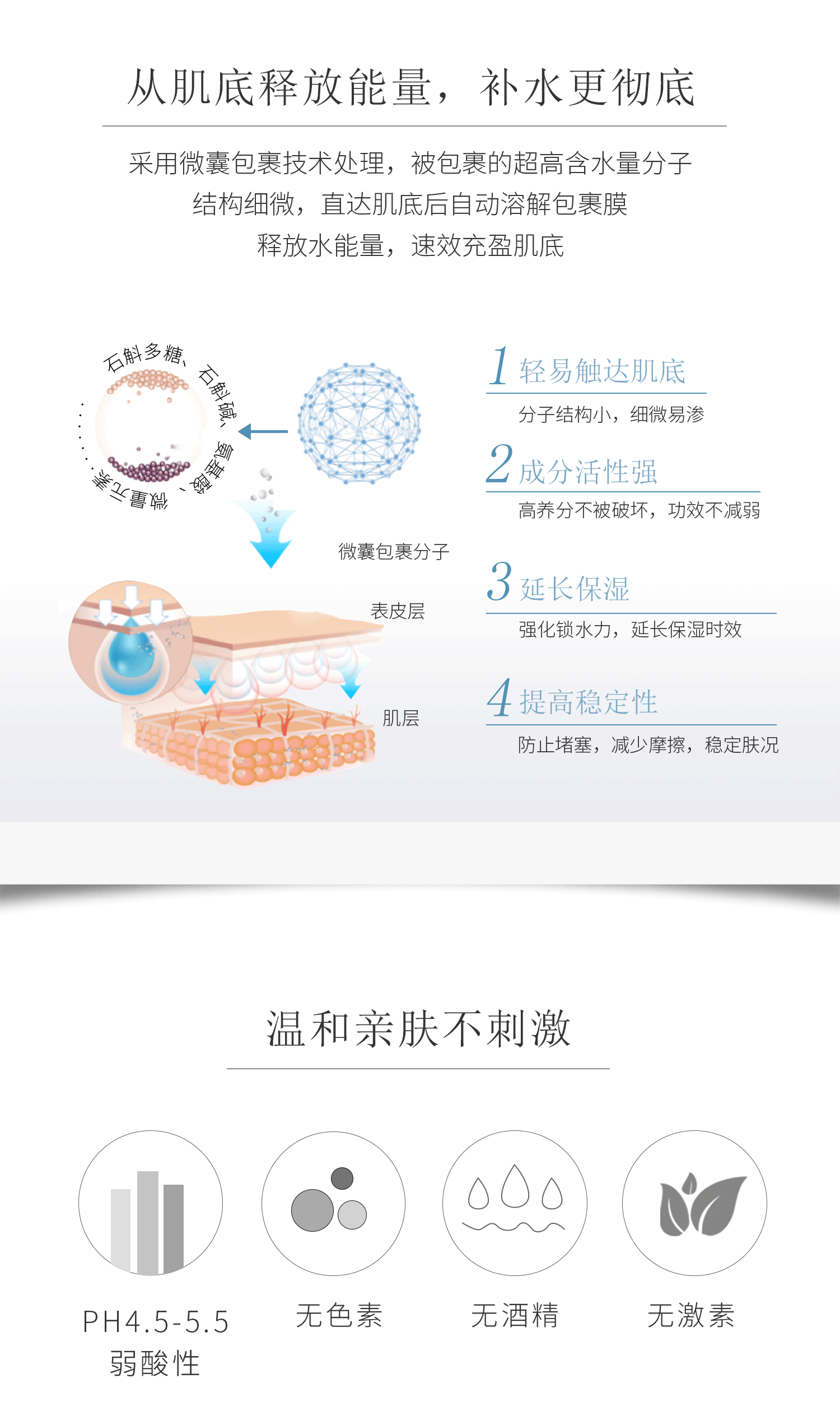 20190408-公众号-石斛乳液_05.png