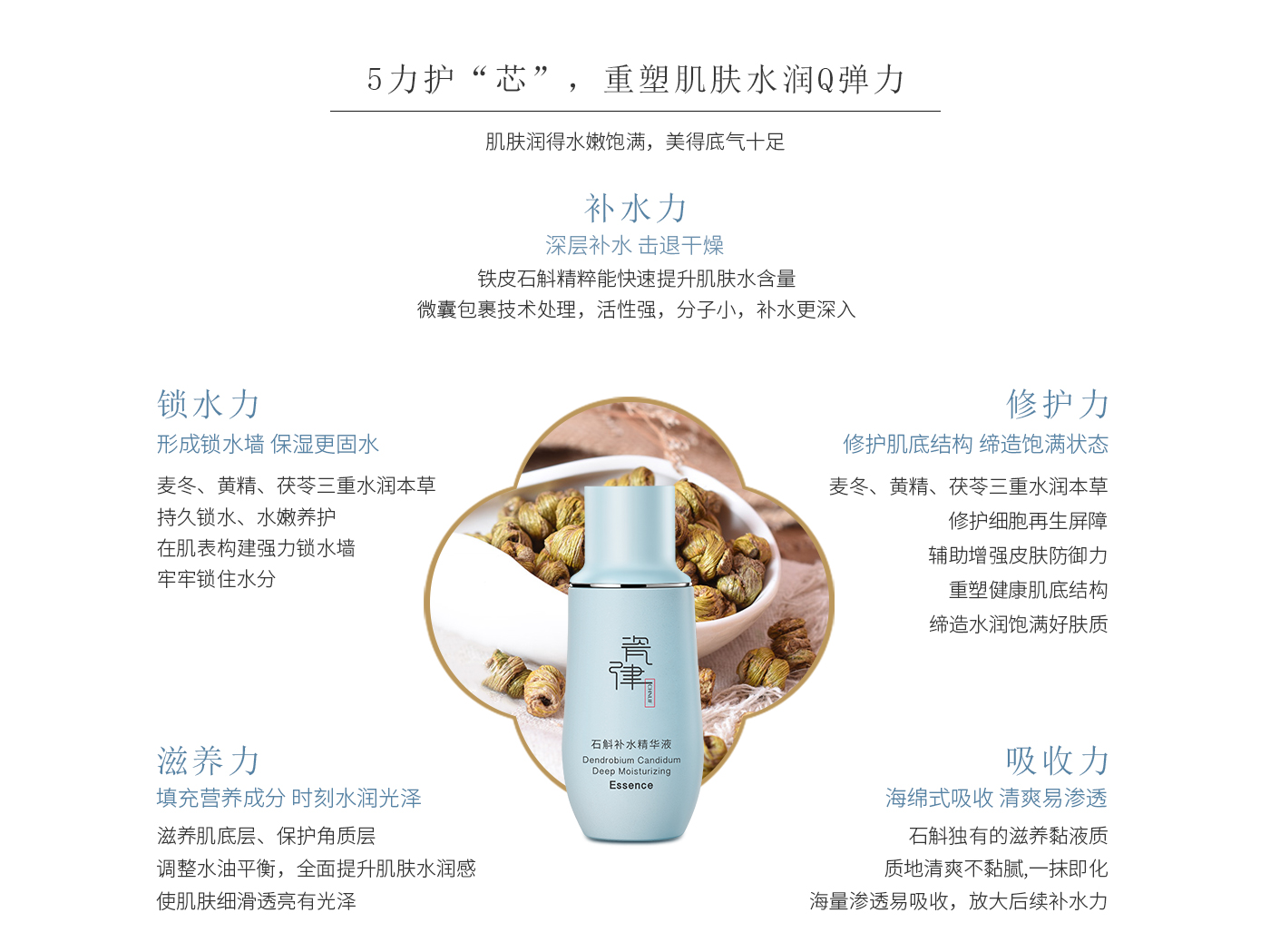 20190315--PC端石斛单品_06.jpg